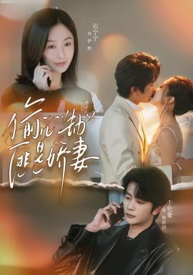 偷心劫匪是娇妻